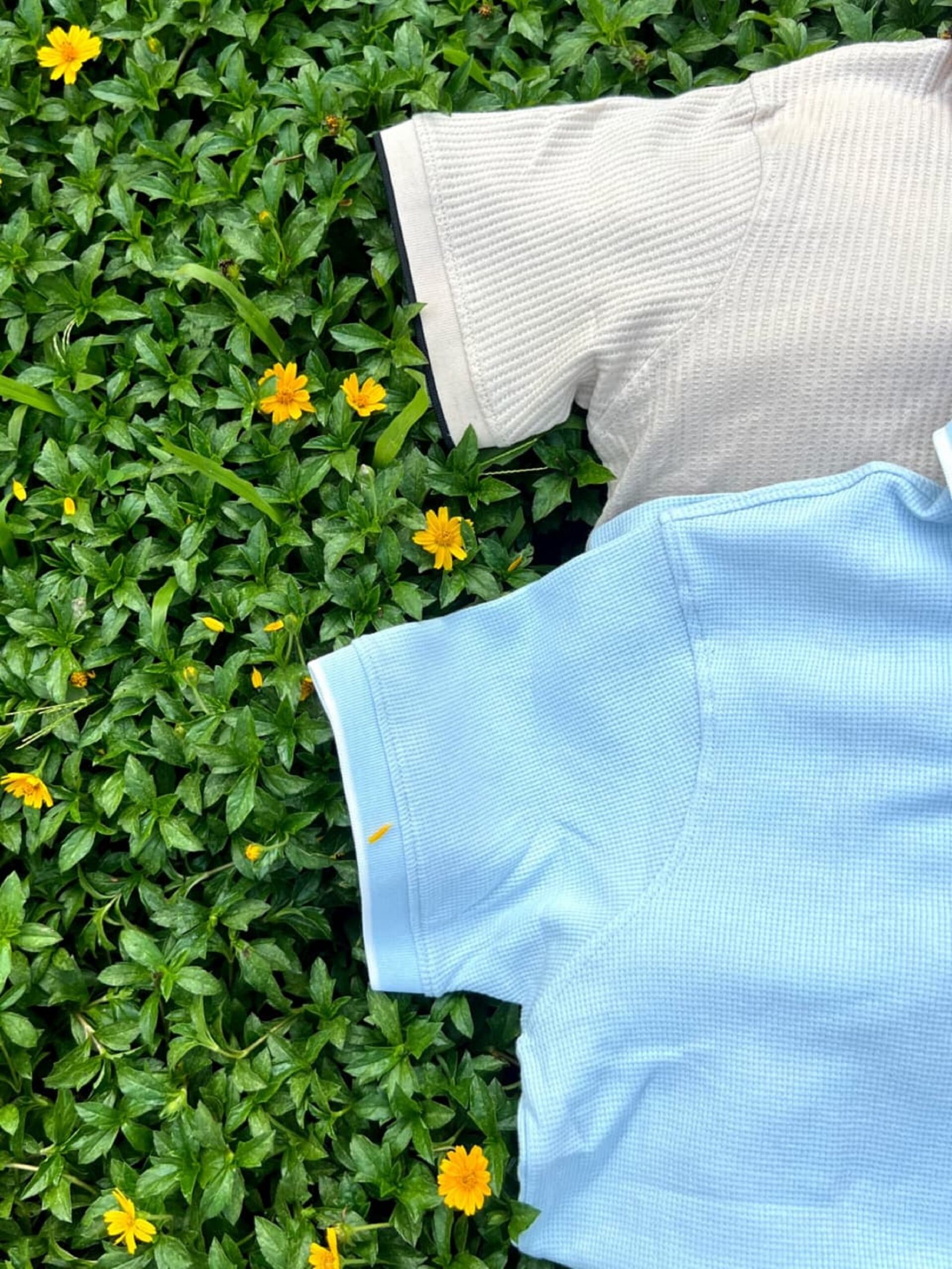 WhatsApp Image 2025-10-23 at 11.09.20 AM